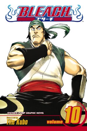 Bleach, Vol. 10