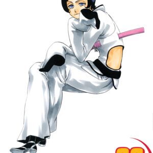 Bleach, Vol. 26