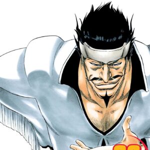 Bleach, Vol. 28