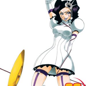 Bleach, Vol. 29
