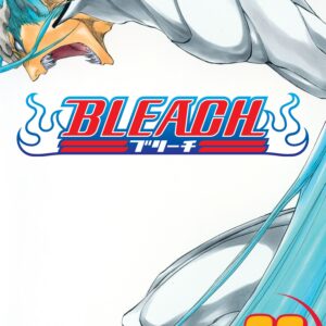 Bleach, Vol. 32
