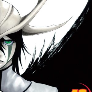 Bleach, Vol. 40