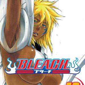 Bleach, Vol. 42